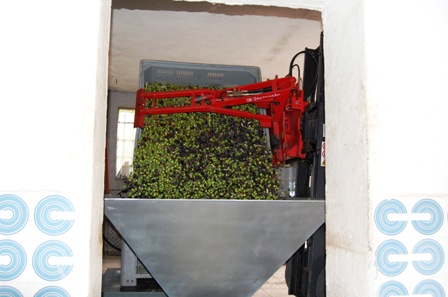 tramoggia